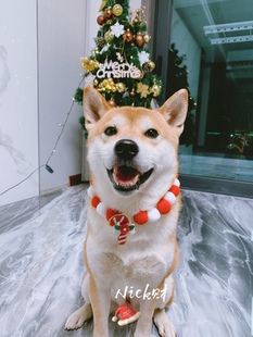 Nick财 柴犬柯基法斗宠物彩色圣诞新年围巾配饰猫咪狗狗球球项圈