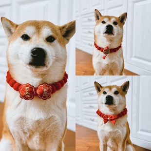 Nick财新年红色宠物球球弹力可调节狗狗猫咪红色福气项圈配饰