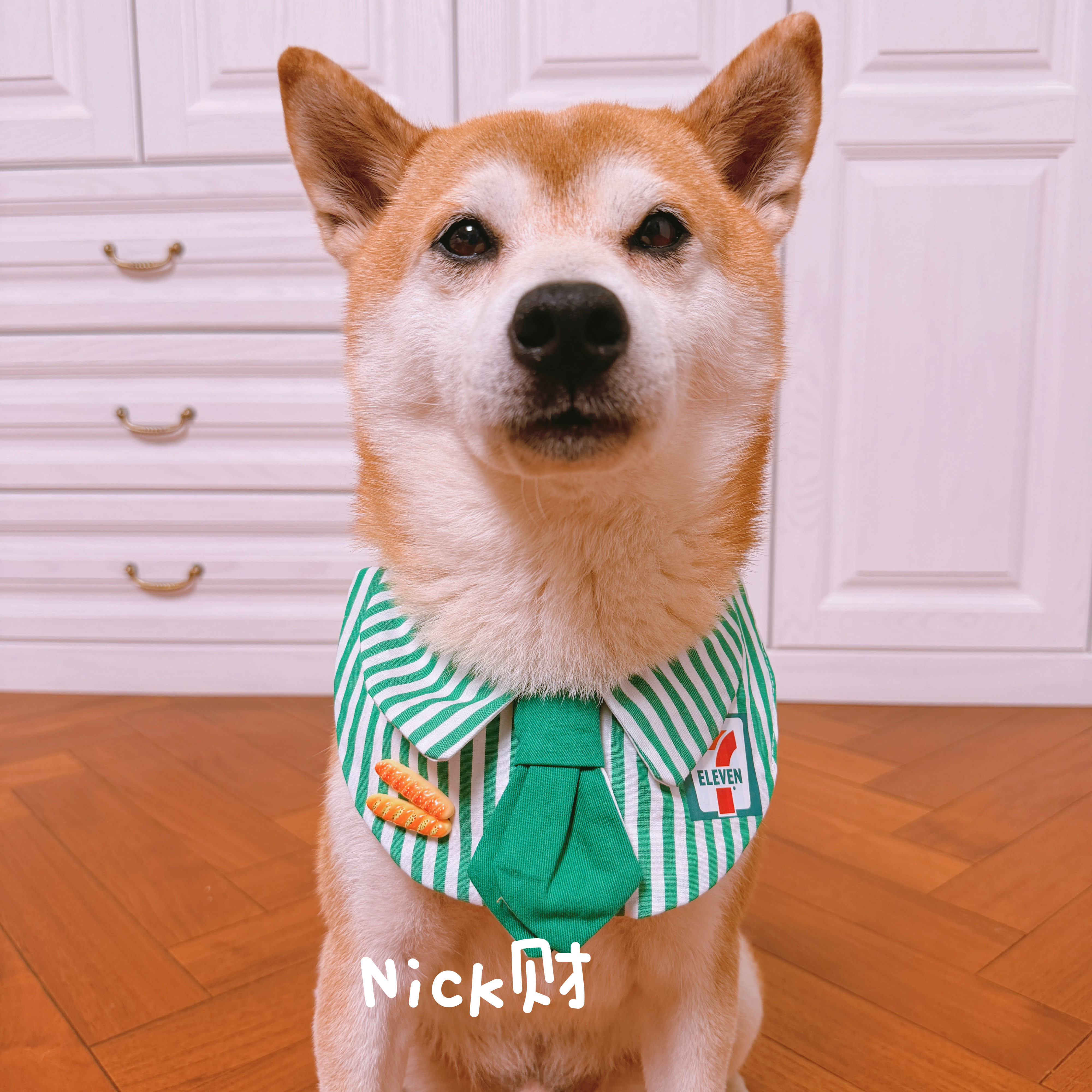 Nick财宠物围兜柴犬狗狗打工人系列条纹领结西高地口水巾兜嘴围脖