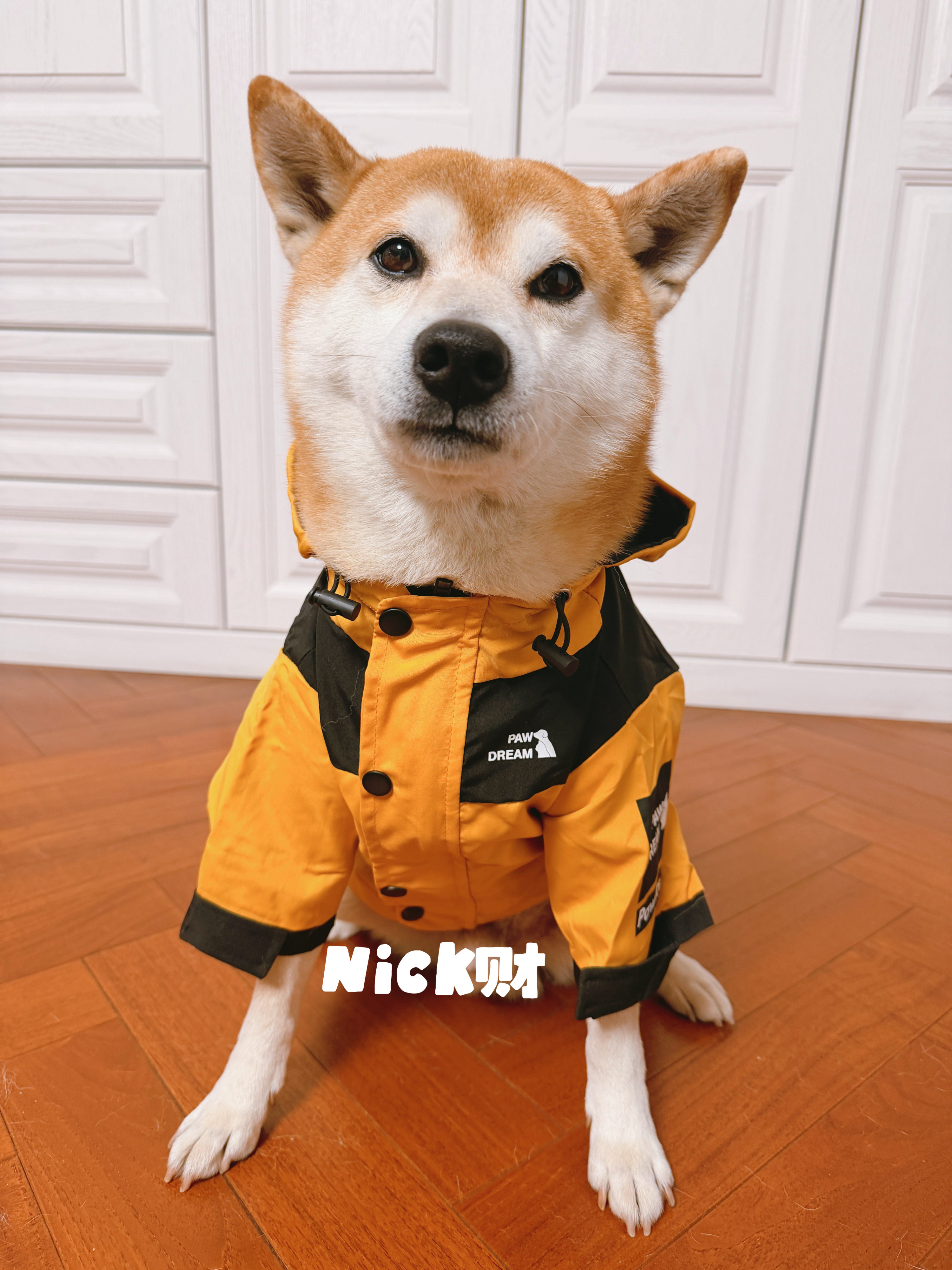 Nick财宠物柴犬潮牌防风防雨北面狗狗中大型犬雨衣外套宠物冲锋衣