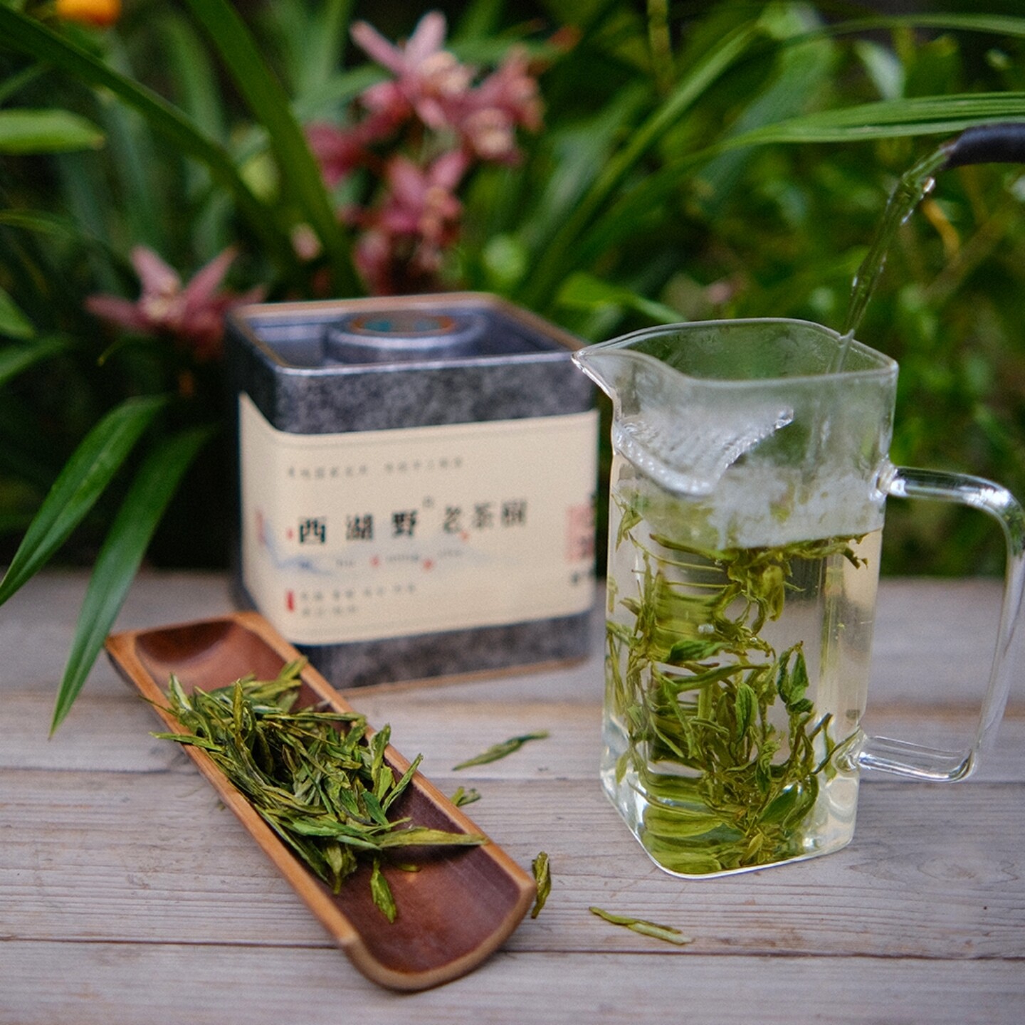 优质老茶树125克群体种土茶