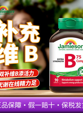 Jamieson健美生维生素B族90粒复合片vb/b2/b6/b12缓释新陈代谢B75