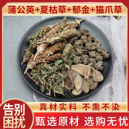 蒲公英夏枯草郁金猫爪草节节汤