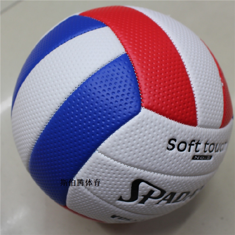 Ballon de volley-ball - Ref 2010013 Image 4