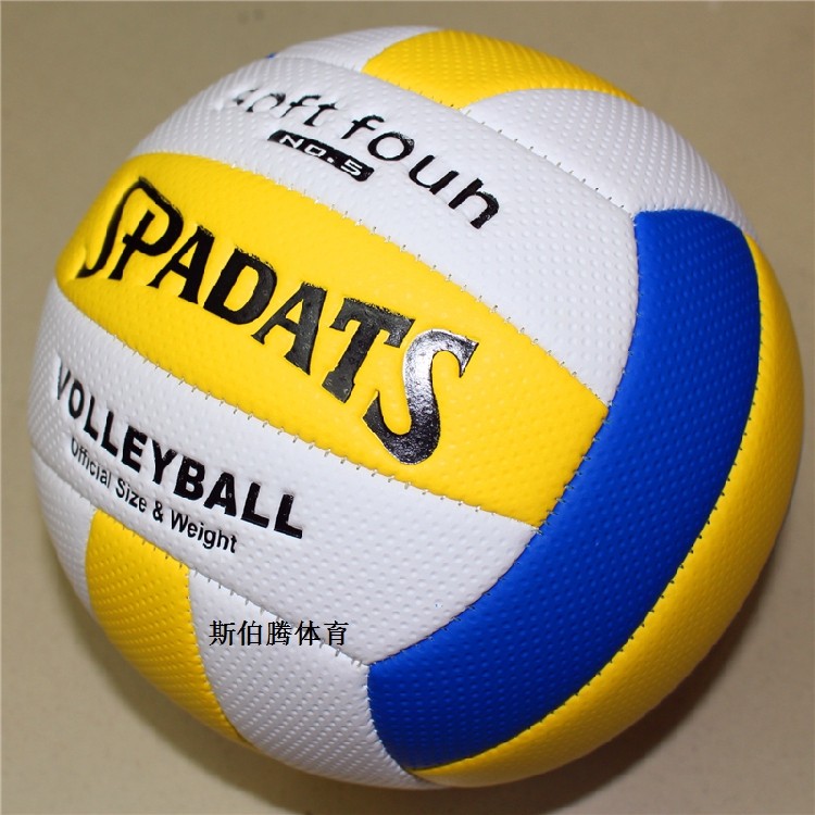 Ballon de volley-ball - Ref 2010013 Image 3