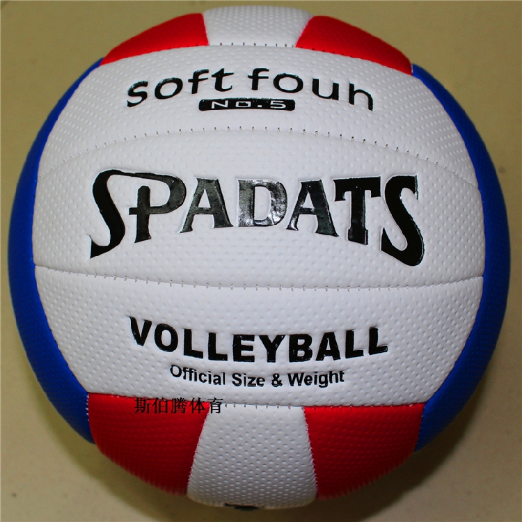 Ballon de volley-ball - Ref 2009804 Image 5