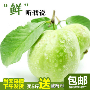 新鲜台湾品种水果 番石榴 芭乐木子农家珍珠5斤送酸梅粉