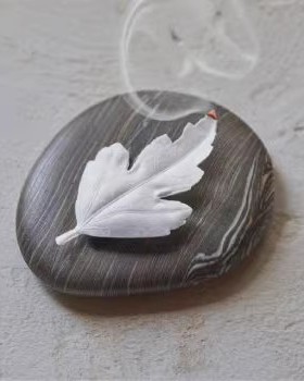 日本薰寿堂HAKO叶香纸香原装整盒叶花香装饰放松家用熏香净化空气