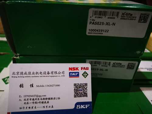 德国INA带座轴承 RASE17-XL