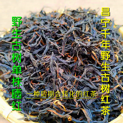 云南昌宁千年野生古树红茶晒红