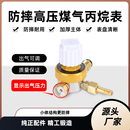 新款 丙烷减压器煤气液化气表出气压力可以调节防爆表头显示出气