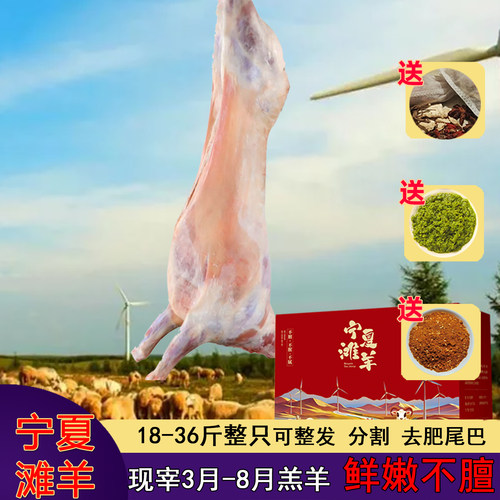 羊肉新鲜宁夏滩羊全羊整只羊滩羊肉羊排烤全羊盐池新疆内蒙古礼盒