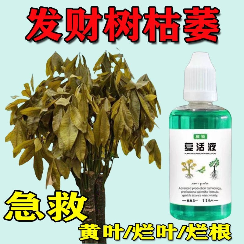 植物复活液通用型盆栽专用针对光杆发财树发黄掉叶生长快速增长剂 鲜花速递/花卉仿真/绿植园艺 家庭园艺肥料 原图主图