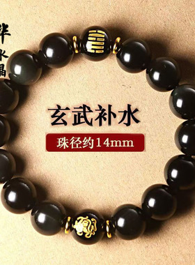 五行缺水补水北方水神玄武