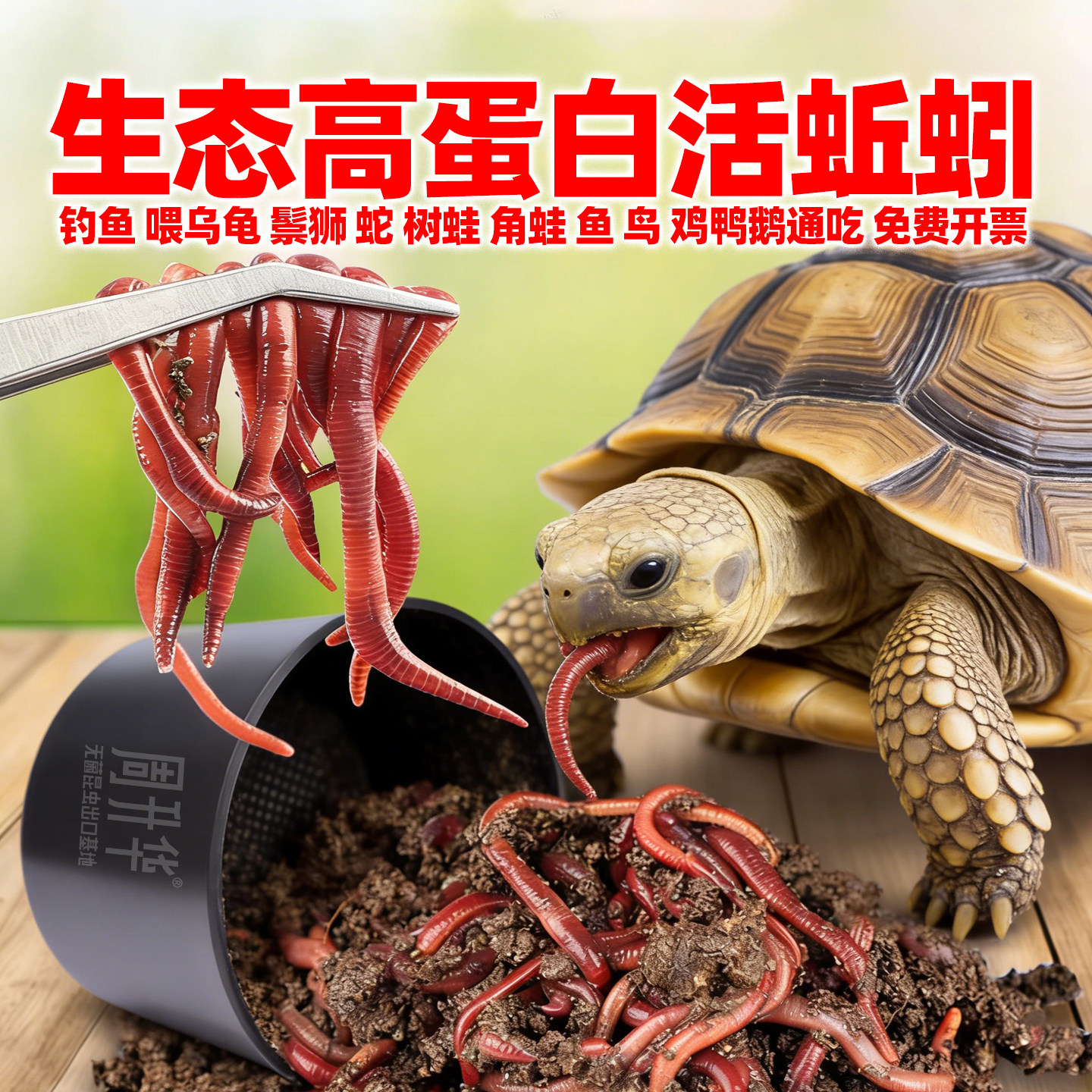 生态蚯蚓鱼饵鲜活蚯蚓乌龟雷龙鱼鬃狮非牛霸王角蛙蛇活饵钓鱼专用