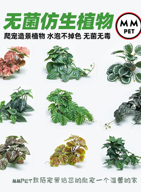 爬宠无菌仿真植物造景雨林缸树蛙角蛙陆龟蜥蜴睫角守宫饲养箱装饰