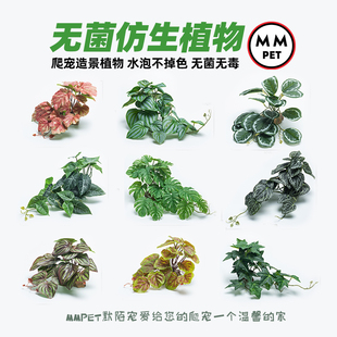 爬宠无菌仿真植物造景雨林缸树蛙角蛙陆龟蜥蜴睫角守宫饲养箱装 饰