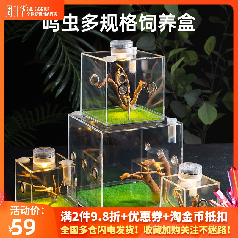 昆虫压克力饲养盒蜘蛛螳螂螽斯蛐蛐迷你爬虫小号生态盒跳蜘鸣虫盒