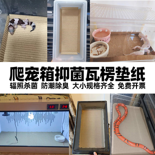 抑菌爬宠垫材瓦楞纸人渣盒饲养箱垫纸板a4睫角守宫鬃狮蛇除臭垫板