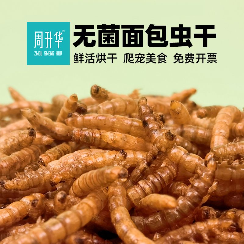 周升华无菌面包虫干高蛋白爬宠粮