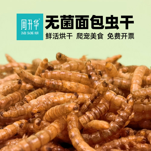 周升华无菌面包虫干高蛋白爬宠粮
