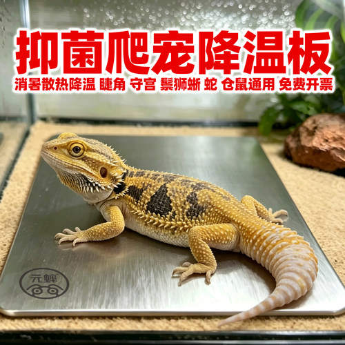 鬃狮蜥守宫蛇猫狗降温板降温神器