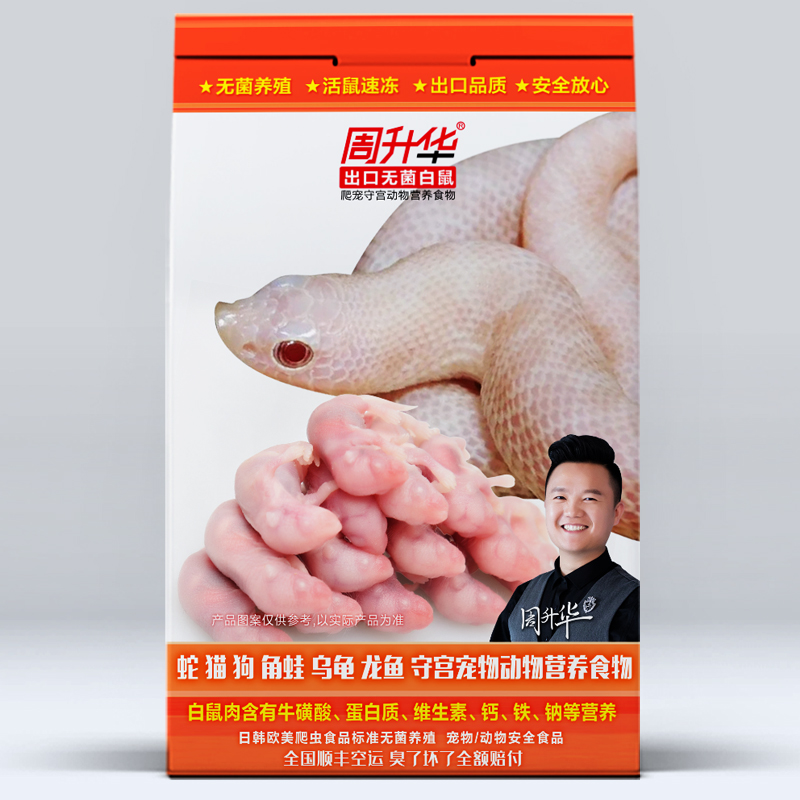 小白鼠幼老鼠体红皮乳鼠喂蛇喂猫王宠物蛇球蟒角蛙蛙粮守宫饲料食