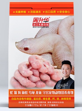 小白鼠幼老鼠体红皮乳鼠喂蛇喂猫王宠物蛇球蟒角蛙蛙粮守宫饲料食
