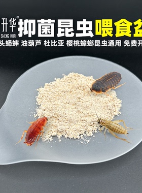 进口昆虫食盆白蟋蟀油葫芦蛐蛐杜比亚樱桃蟑螂喂食盆器饮水棉套装