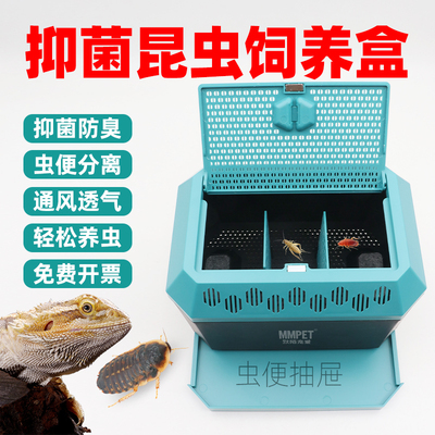 爬宠蟋蟀杜比亚大麦面包虫饲养盒