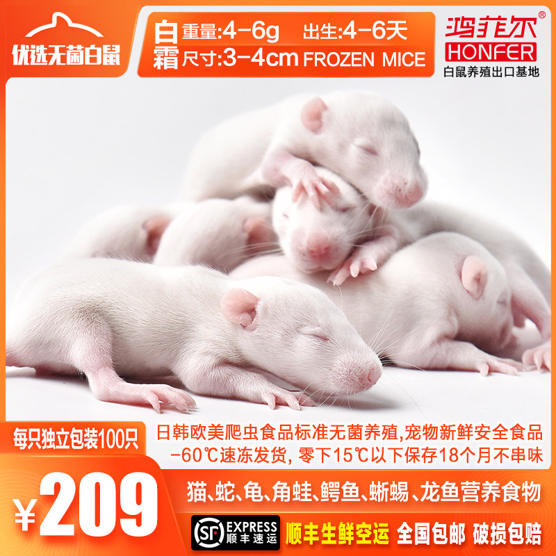 冷冻白霜红皮小白鼠亚成体冰冻爬虫守宫蜥蜴鳄鱼角蛙老年猫粮饲料|ruв категории животное/Животное питание и принадлежностей, рептилии/насекомых и принадлежностей, рептилии/насекомых питание - от Buy2taobao.com для оказания профессиональной услуги покупки агента Taobao