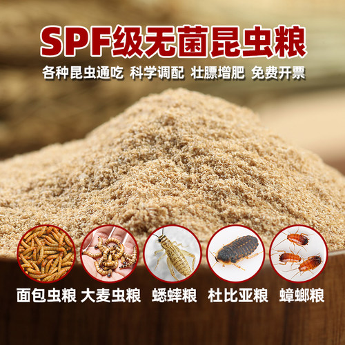 SPF级无菌昆虫粮加钙麦麸虫饲料