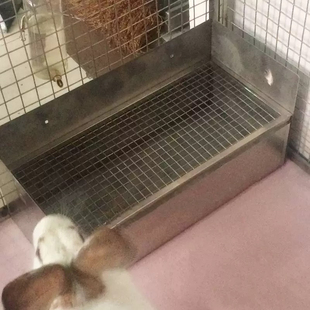 狐獴不锈钢厕所兔子龙猫荷兰猪土拨鼠挡尿防掀易清洗加密网不卡脚