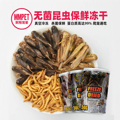 无菌昆虫冻干面包虫蟋蟀蚂蚱肉干
