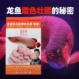 龙鱼增色饲料鱼食六角小龙鱼幼苗专用饲料四脚黄化仟湖曼龙鱼饲料