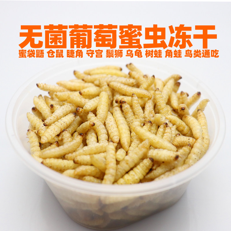 无菌葡萄蜜虫玉米虫冻干爬宠饲料