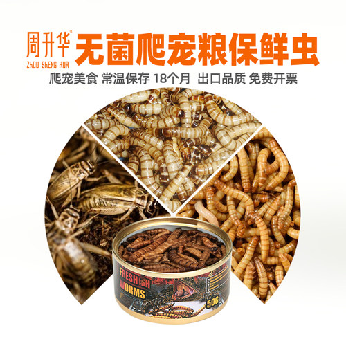 大麦虫面包虫蝗虫蟋蟀保鲜虫冻干