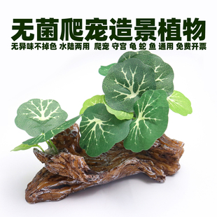爬宠造景绿植物木攀爬鱼屋乌龟鱼缸小鱼躲避水草守宫蛇蛙躲避洞穴