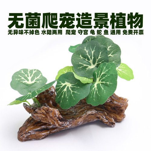 无菌爬宠造景绿植水草躲避洞穴藤