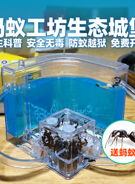 宠物蚂蚁工坊城堡超大缸盒子试管