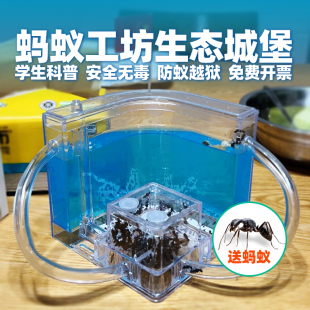 蚂蚁生态箱送蚁后活体宠物蚂蚁工坊城堡超大缸盒子试管巢窝卵士兵