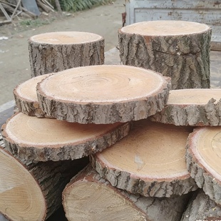 爬宠造景银杏木棍装饰木材摆件道具木桩鹦鹉站台玄凤站架鸟笼配件