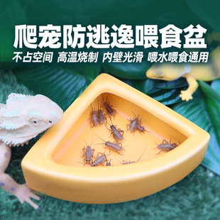 爬宠陶瓷喂水盆食盆防虫逃逸喂食睫角守宫鬃狮蜥蜴乌龟树蛙泡澡盆