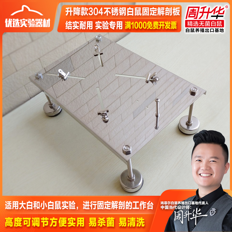 升降款实验器材大小白鼠解剖板固定器ZK-JPB-D不锈钢工作台夹子蛙
