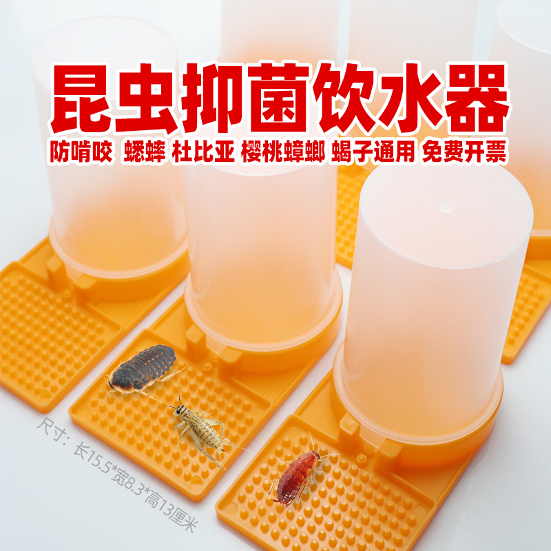 昆虫饮水壶500ml喂水瓶白蟋蟀蛐蛐油葫芦杜比亚樱桃蟑螂蝎子喝水