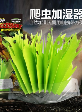 爬宠绿色加湿器陆龟蛇睫角守宫鬃狮蜥蜴爬箱气化保湿植物造景加湿
