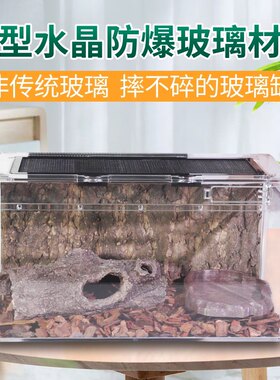 爬宠缸亚克力造景水陆两用一体缸