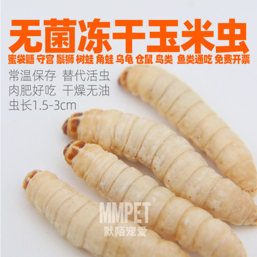 冻干玉米虫仓鼠蜜袋鼯粮蛙龟零食