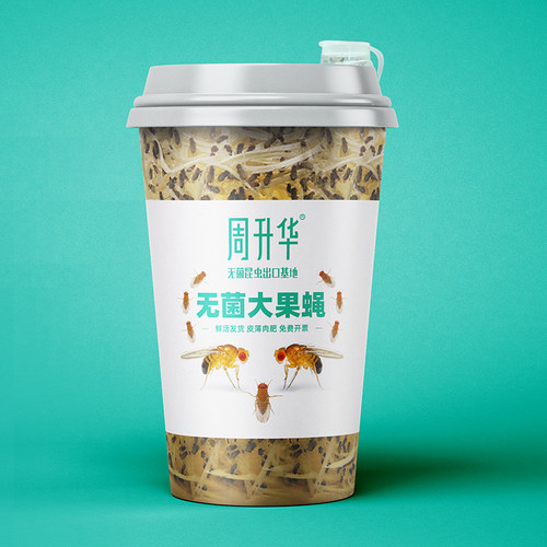 无菌活大果蝇树蛙蜘蛛螳螂蚂蚁粮