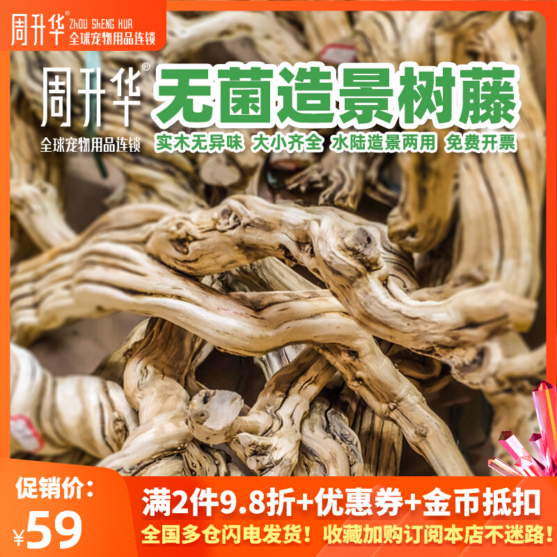 爬虫无菌藤木树藤造景缸植物树枝睫角守宫蛇蛙龟饲养箱造景蔓藤条